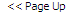 The Page Up Control