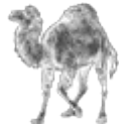 Click to open the Perl website (https://www.perl.org) Perl Camel